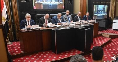 جداول تقسيم الدوائر الانتخابية لمجلس النواب بالنظامين الفردى والقائمة020 جداول تقسيم الدوائر الانتخابية لمجلس النواب بالنظامين الفردى والقائمة