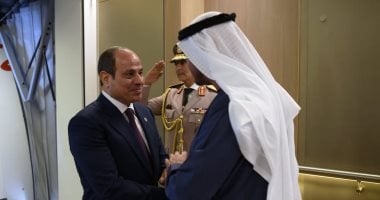 الرئيس السيسى والشيخ محمد بن زايد يؤكدان أهمية حماية سيادة الدول الشقيقة020 الرئيس السيسى والشيخ محمد بن زايد يؤكدان أهمية حماية سيادة الدول الشقيقة