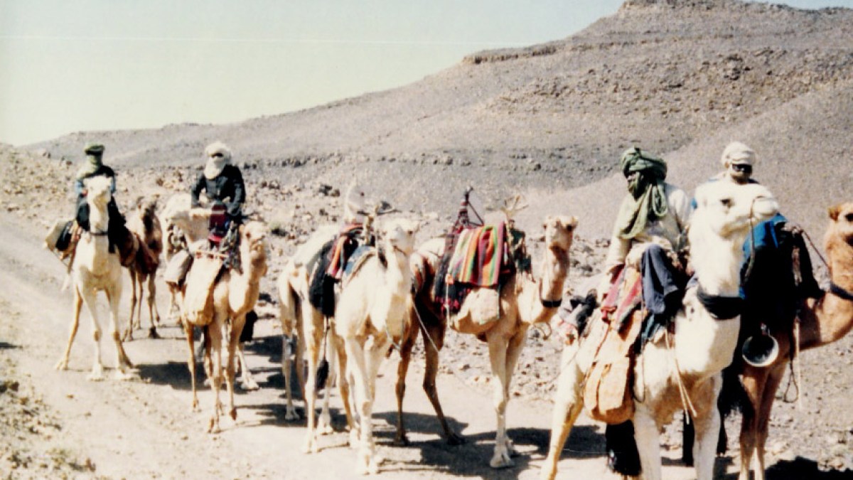 في الطريق لبيت الله الحرام.. تاريخ أفريقي طويل من التضحية والعبادة020 في الطريق لبيت الله الحرام.. تاريخ أفريقي طويل من التضحية والعبادة