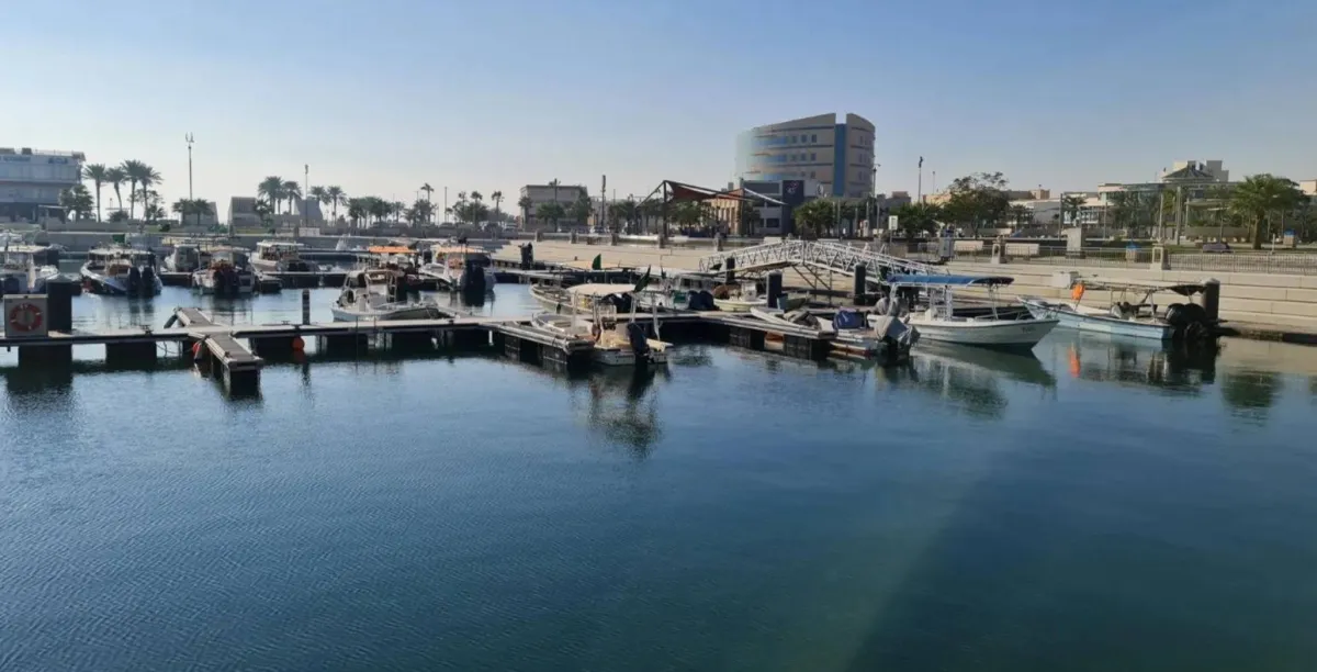 تخصيص لقيم إضافي لمشاريع السعودية للاستثمار الصناعي في منطقة الجبيل